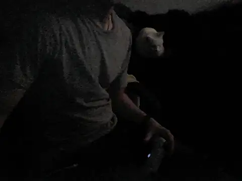 MarioKnero online show from February 2026 09:53:01 AM