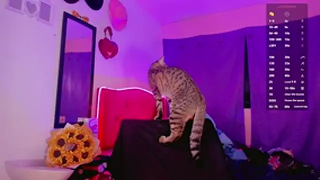 Snapshot of val_princes chatting on December 2025 11:42:02 AM val princes online show from December 2025 11:42:02 AM