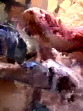 26menny74 online show from November 2025 12:15:01 AM