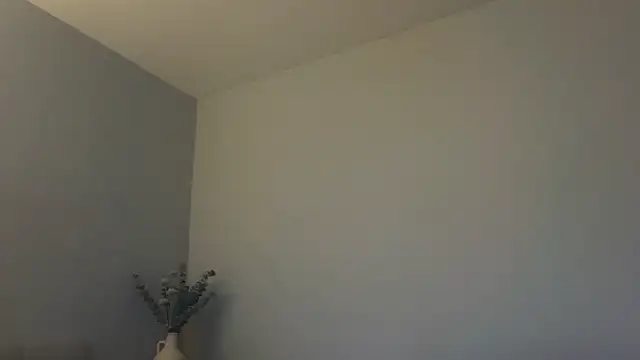 Snapshot of skyejde chatting on February 2026 04:59:01 PM skyejde online show from February 2026 04:59:01 PM