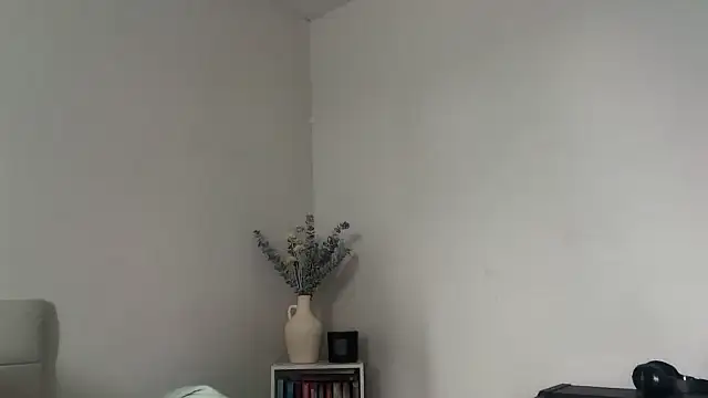 Snapshot of skyejde chatting on February 2026 02:27:01 PM skyejde online show from February 2026 02:27:01 PM