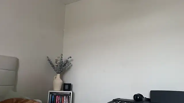 Snapshot of skyejde chatting on March 2026 12:38:02 PM skyejde online show from March 2026 12:38:02 PM