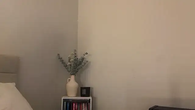 Snapshot of skyejde chatting on January 2026 04:55:01 PM skyejde online show from January 2026 04:55:01 PM