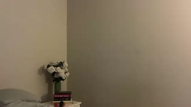 Snapshot of skyejde chatting on November 2025 04:29:01 PM skyejde online show from November 2025 04:29:01 PM