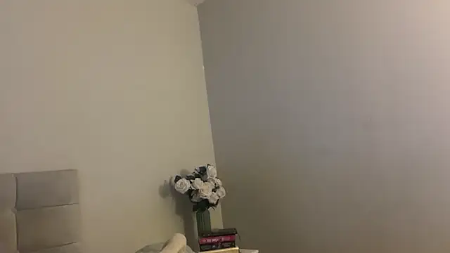 Snapshot of skyejde chatting on November 2025 06:11:01 PM skyejde online show from November 2025 06:11:01 PM