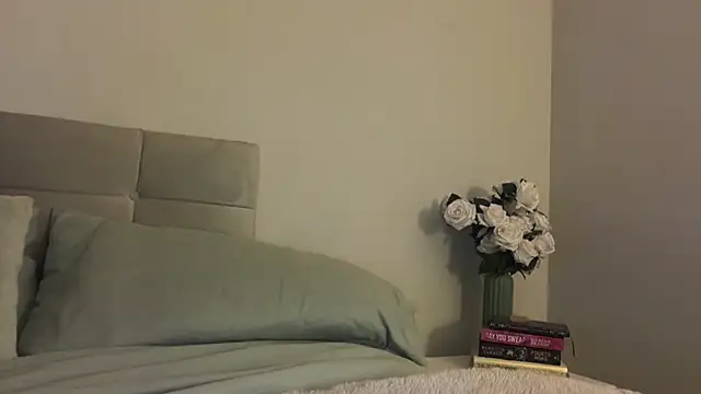 Snapshot of skyejde chatting on November 2025 09:52:01 PM skyejde online show from November 2025 09:52:01 PM