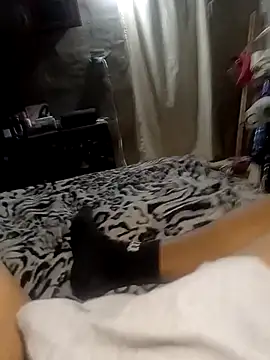 xxx dogg online show from December 2025 05:34:01 AM