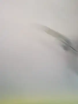 Snapshot of Yashkumar_0697 chatting on November 2025 08:19:02 AM Yashkumar 0697 online show from November 2025 08:19:02 AM