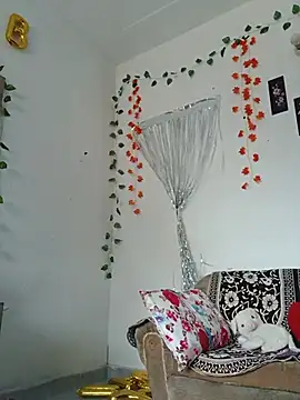 shnaz 1 online show from July 2026 02:31:01 AM