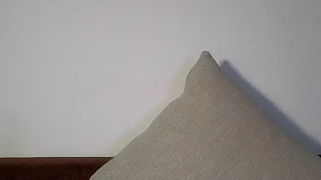 Snapshot of DemiDee chatting on November 2025 01:26:02 PM DemiDee online show from November 2025 01:26:02 PM