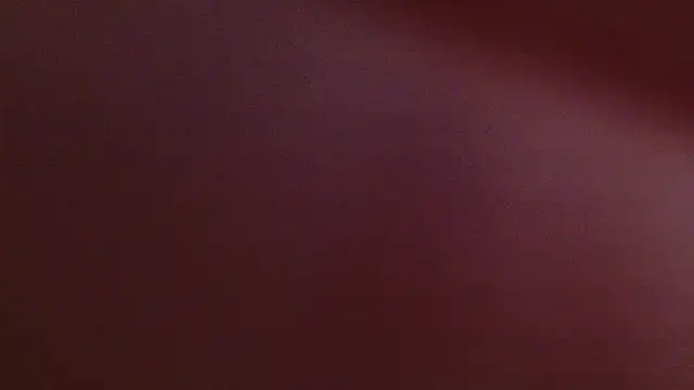 lissa palmer online show from November 2025 03:10:02 AM