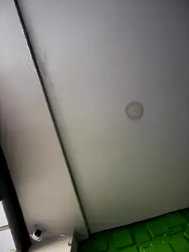 Dulce  Boyd online show from November 2025 01:15:02 PM