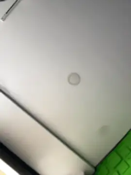 Dulce  Boyd online show from March 2026 02:34:02 PM