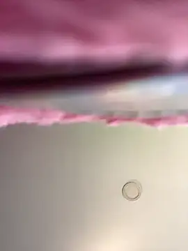 Dulce  Boyd online show from November 2025 01:33:02 PM