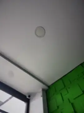 Dulce  Boyd online show from December 2025 01:47:02 PM