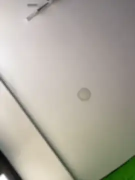 Dulce  Boyd online show from February 2026 02:39:01 PM