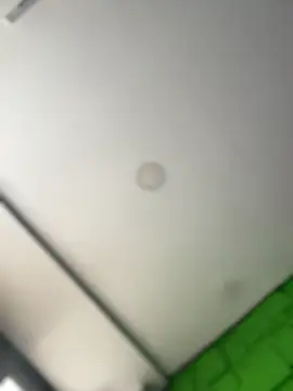 Dulce  Boyd online show from March 2026 01:48:02 PM