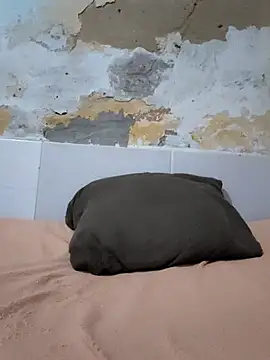 Snapshot of shuelldin chatting on December 2025 02:27:01 AM shuelldin online show from December 2025 02:27:01 AM