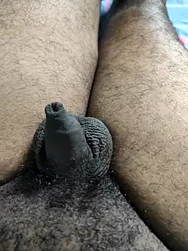 Tamil small cock online show from October 2025 09:33:01 AM