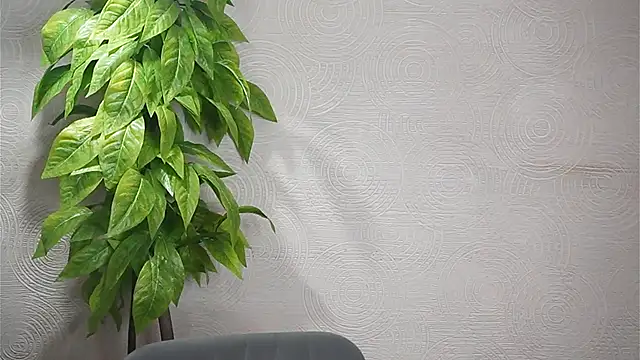 Snapshot of GwenBottrellv chatting on February 2025 09:48:01 PM GwenBottrellv online show from February 2025 09:48:01 PM