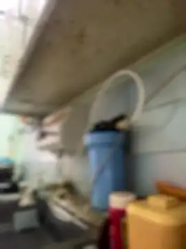 Carola-Ross online show from January 2026 04:33:01 PM