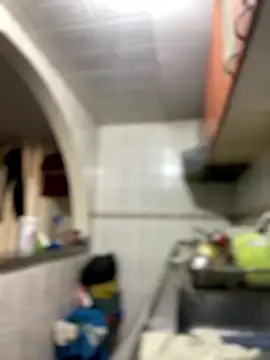 Carola-Ross online show from January 2026 03:37:01 PM