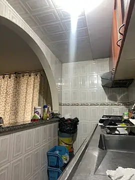 Carola-Ross online show from April 2026 04:58:02 PM