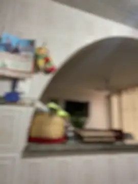 Carola-Ross online show from April 2026 05:38:02 PM