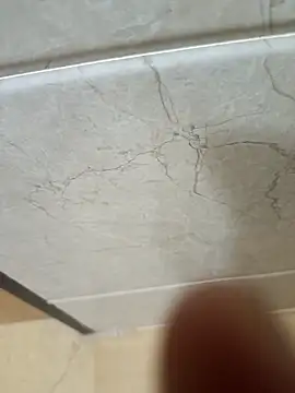 hard bone69 online show from March 2026 12:10:02 AM