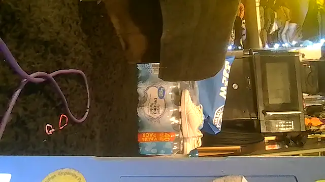 ShysluutGia online show from February 2026 07:47:02 AM