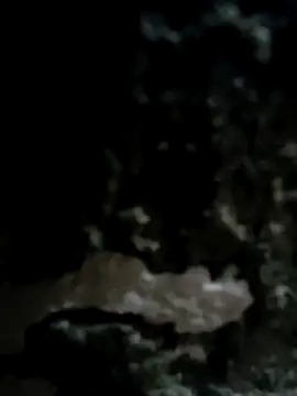 iamriturani online show from February 2025 11:09:01 AM