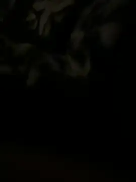 salma74779 online show from March 2025 11:45:02 PM