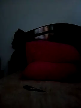 jhon 1988 24 online show from October 2025 08:11:02 PM