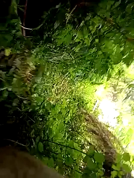 halfArabhalfspanish online show from April 2026 01:04:02 PM