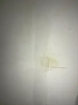 Hamza-Maroki online show from November 2025 10:09:01 PM