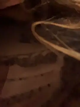 aurora coldd online show from April 2026 09:29:01 PM