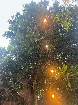 Snapshot of aurora_coldd chatting on October 2025 10:22:02 PM aurora coldd online show from October 2025 10:22:02 PM