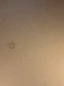 ValentinaOrtiz3 online show from March 2026 12:37:02 AM