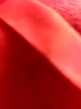 Nahuel141414 online show from February 2026 11:10:02 AM