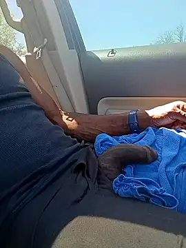 Snapshot of birdg chatting on April 2026 04:30:02 PM birdg online show from April 2026 04:30:02 PM