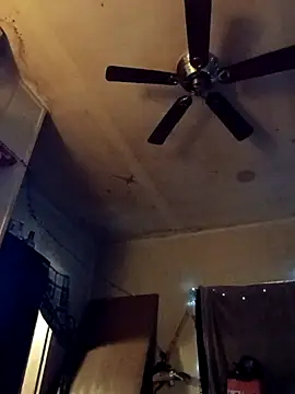 birdg online show from October 2025 03:41:01 PM