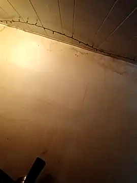 birdg online show from October 2025 07:15:02 PM