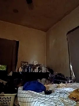 birdg online show from November 2025 04:55:02 PM