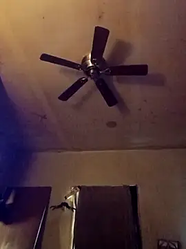 birdg online show from November 2025 06:12:02 PM