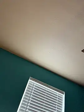 bossyroxy84 online show from February 2026 06:04:01 PM