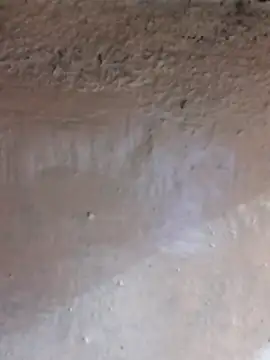 Lizza boudi online show from February 2025 04:15:01 PM