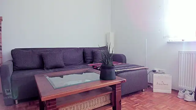 molicaremolicare online show from November 2025 07:34:01 AM