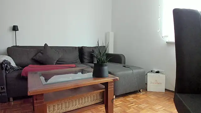 molicaremolicare online show from October 2025 08:37:02 AM