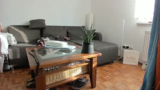 molicaremolicare online show from November 2025 11:21:01 AM