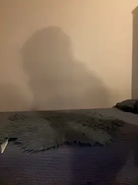 Budibudi5 online show from November 2025 04:56:02 AM